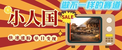 DeepSeek+绘图+视频制作小人国微观视频，小白轻轻松松上手，条条爆款，条条变现，单日就能收益-爱找项目网