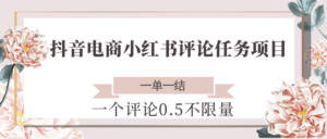 抖音电商小红书评论任务项目，一个评论0.5，一单一结 不限量-爱找项目网