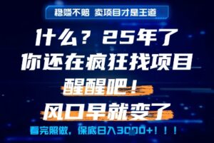 什么？25年你还在疯狂找项目做，醒醒吧，看完这些你全都懂了！【揭秘】-爱找项目网
