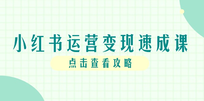 小红书运营变现速成课，账号搭建到暴力起号，个人IP全流程指南-爱找项目网