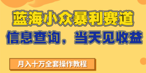 蓝海小众暴利赛道，信息查询，当天见收益，不讲玄学，7天搞了2万+-爱找项目网