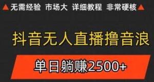 抖音无人直播6.0 简单无脑可矩阵 每天两小时轻松躺赚500+-爱找项目网