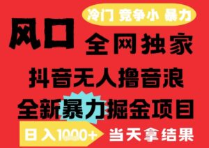 25年6月高爆抖音无人直播最新撸音浪掘金项目,解放双手小白可做,无脑日入1k+,门槛低【揭秘】-爱找项目网