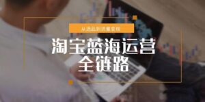 淘宝蓝海运营全链路，从选品到流量变现，小类目突围完整方案-爱找项目网