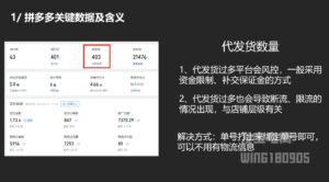纪主任·拼多多年费会员(更新6月)-爱找项目网