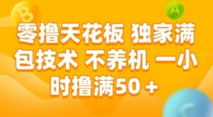 零撸天花板，独家满包技术，不用养机，一小时撸满50+，收益稳定【揭秘】-爱找项目网