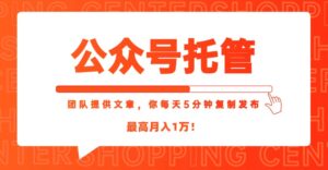 【公众号托管 】我提供文章，你每天５分钟复制发布，最高月入1W-爱找项目网