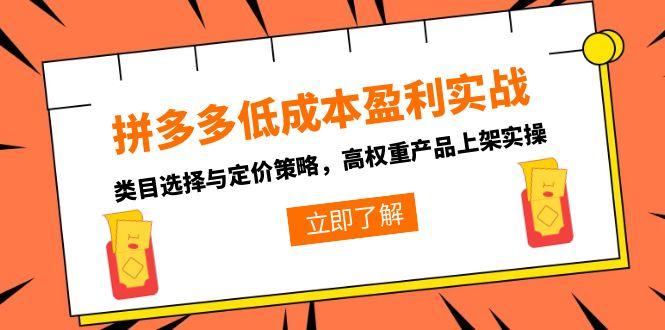 拼多多低成本盈利实战，类目选择与定价策略，高权重产品上架实操-爱找项目网