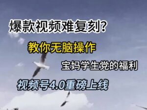视频号4.0重磅上线，爆款视频难复刻？教你无脑操作宝妈学生党的福利【揭秘】-爱找项目网