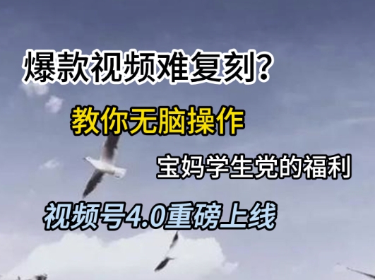 视频号4.0重磅上线，爆款视频难复刻？教你无脑操作宝妈学生党的福利【揭秘】-爱找项目网