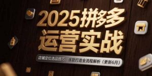 2025拼多多运营实战:店铺定位选品技巧,爆款打造全流程解析(更新6月-爱找项目网