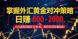 掌握外汇黄金对冲策略，日赚 800 - 2000，小众高回报创业机会，助你实...-爱找项目网