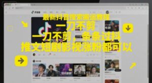 最新抖音搜索搬运教程，一刀不剪，条条过抖，推文短剧影视涨粉都可以-爱找项目网