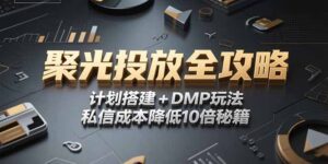 2025小红书聚光投放全攻略，计划搭建+DMP玩法，私信成本降低10倍秘籍-爱找项目网