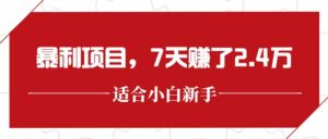 最新暴利项目，每单收益轻松在300以上，7天赚了2.4万-爱找项目网