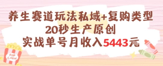 养生赛道玩法私域+复购类型，20秒生产原创实战单号月收入5k+-爱找项目网