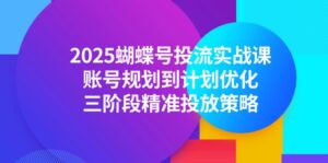 2025蝴蝶号投流实战课，账号规划到计划优化，三阶段精准投放策略-爱找项目网