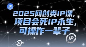 2025网创类IP课，项目会死IP永生，可操作一辈子-爱找项目网