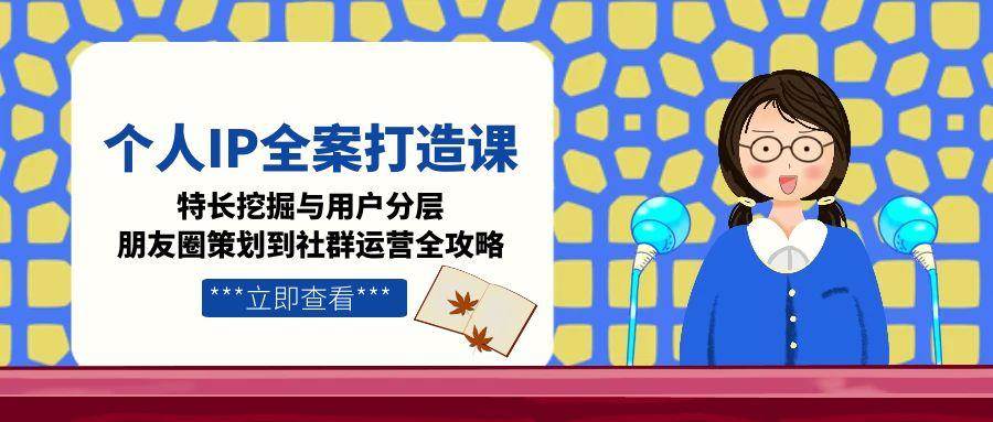 个人IP全案打造课，特长挖掘与用户分层，朋友圈策划到社群运营全攻略-爱找项目网