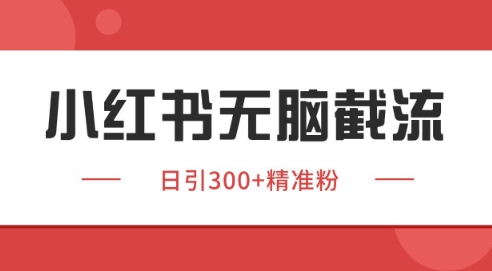 小红书截流同行客源，独家野路子获客玩法 日引200+暴力获客【揭秘】-爱找项目网