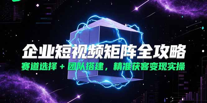 企业短视频矩阵全攻略，赛道选择+团队搭建，精准获客变现实操-爱找项目网