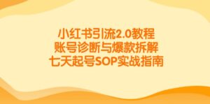 小红书引流2.0教程，账号诊断与爆款拆解，七天起号SOP实战指南-爱找项目网