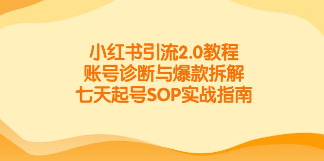小红书引流2.0教程，账号诊断与爆款拆解，七天起号SOP实战指南-爱找项目网
