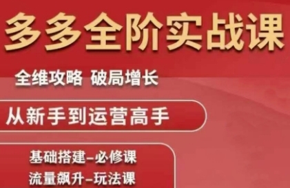 拼多多全阶实战课程，全维攻略，破局增长，从新手到运营高手-爱找项目网
