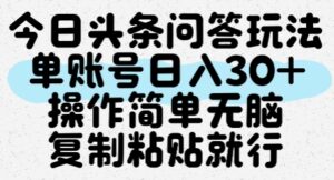 今日头条问答玩法，单账号日入30+，操作简单无脑复制粘贴就行-爱找项目网