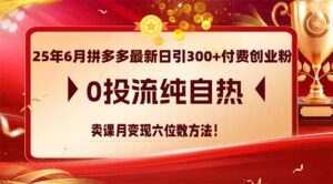 25年6月拼多多最新日引300+付费创业粉，0投流纯自热 卖课月变现六位数方法-爱找项目网