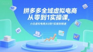 拼多多全域虚拟电商从零到1实操课，小白虚拟电商从0到1实操到精通-爱找项目网
