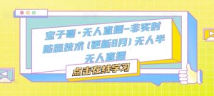 宝子哥·无人直播-非实时防风技术(更新25年7月)无人半无人直播-爱找项目网