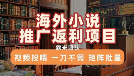 海外小说推广返利项目，视频投喂， 一刀不剪，矩阵批量-爱找项目网