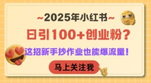 2025年小红书日引100+创业粉?这招新手抄作业也能爆流量!-爱找项目网