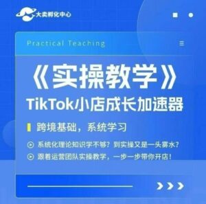 大卖家孵化中心TikTok实操课，TikTok小店成长加速器，跨境基础系统学习，一步一步带你开店-爱找项目网