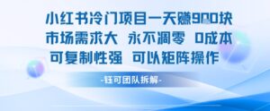 小红书冷门项目一天收益9张，市场需求大，0成本，可复制性强可以矩阵操作-爱找项目网