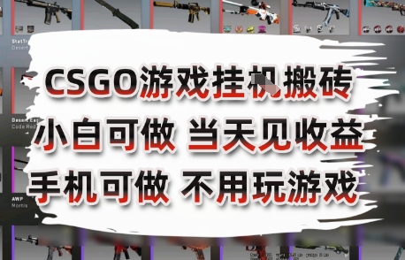 CSGO游戏挂G搬砖，小白纯手机即可操作，不用电脑打游戏，日入3张+，副业网创项目【揭秘】-爱找项目网
