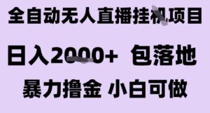 最新全自动抖音无人直播挂G项目，日入2k+ 包落地暴力撸金，小白可做【揭秘】-爱找项目网