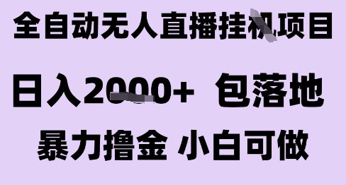 最新全自动抖音无人直播挂G项目，日入2k+ 包落地暴力撸金，小白可做【揭秘】-爱找项目网