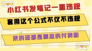 小红书发笔记一直违规，套用这个公式不仅不违规，来的还都是精准的付费粉-爱找项目网