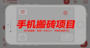 手机搬砖项目，有手就能做，亲测一小时几十，苹果安卓都可以-爱找项目网