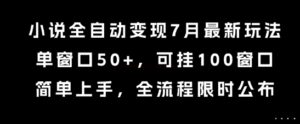 小说全自动变现7月玩法，单窗口50+，可挂100窗口，简单上手，全流程限时公布【揭秘】-爱找项目网