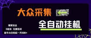 大众采集全自动玩法，新手小白轻松一天5张+，操作简单零成本【揭秘】-爱找项目网