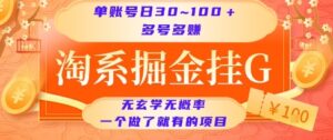 淘系掘金挂G项目，单账号日收益30~100+，多号多得，一个做了就有的项目【揭秘】-爱找项目网