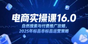 淘宝电商运营课16.0，自然搜索与付费推广攻略，2025年标品非标品运营策略-爱找项目网