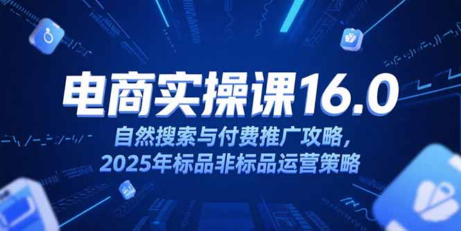 淘宝电商运营课16.0，自然搜索与付费推广攻略，2025年标品非标品运营策略-爱找项目网
