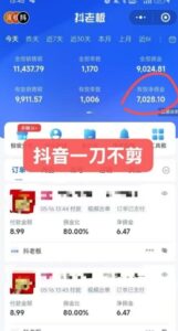 抖音短视频一刀不剪带货，不剪辑，不直播，每天发个视频，等着出单获取带货佣金-爱找项目网