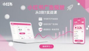 小红书广告投放从0到1的实战课，学完即可开始投放，拒绝无效广告消耗-爱找项目网