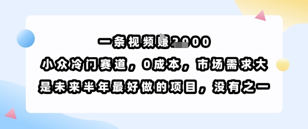 一条视频挣1k，小众冷门赛道，0成本，市场需求大，是未来半年最好做的项目，没有之一-爱找项目网