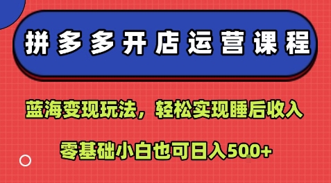 拼多多开店运营课程：蓝海变现玩法，轻松实现睡后收入，零基础小白也可日入5张-爱找项目网